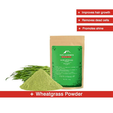 https://cdn.shopify.com/s/files/1/1857/6931/files/xIXz1gkWZt-730179.jpg?v=1736146740